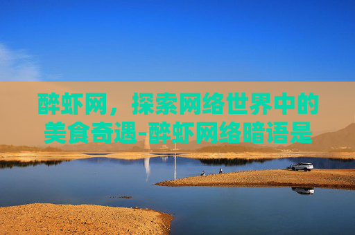 醉虾网，探索网络世界中的美食奇遇-醉虾网络暗语是啥意思