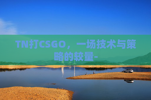 TN打CSGO，一场技术与策略的较量-