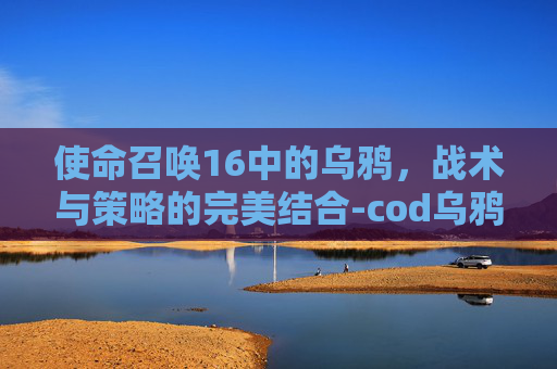 使命召唤16中的乌鸦，战术与策略的完美结合-cod乌鸦组