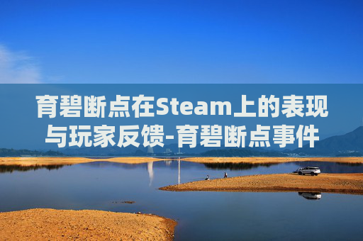 育碧断点在Steam上的表现与玩家反馈-育碧断点事件