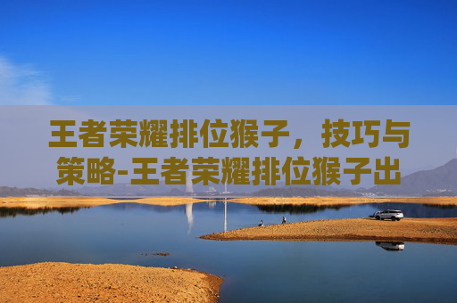王者荣耀排位猴子，技巧与策略-王者荣耀排位猴子出装