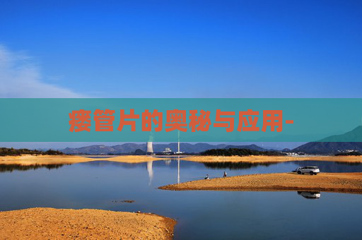 瘘管片的奥秘与应用-
