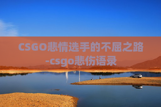CSGO悲情选手的不屈之路-csgo悲伤语录