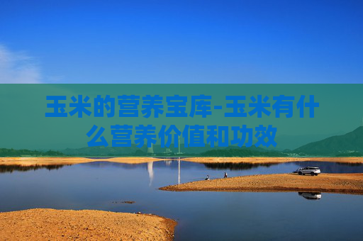 玉米的营养宝库-玉米有什么营养价值和功效