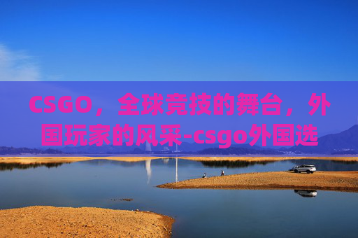 CSGO，全球竞技的舞台，外国玩家的风采-csgo外国选手