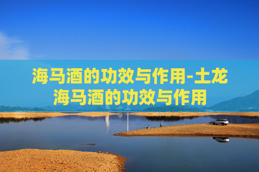 海马酒的功效与作用-土龙海马酒的功效与作用