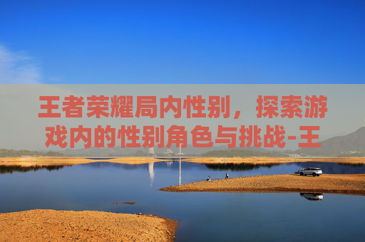王者荣耀局内性别，探索游戏内的性别角色与挑战-王者荣耀游戏内性别
