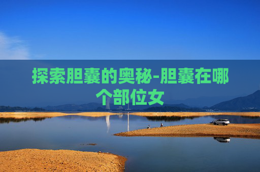 探索胆囊的奥秘-胆囊在哪个部位女