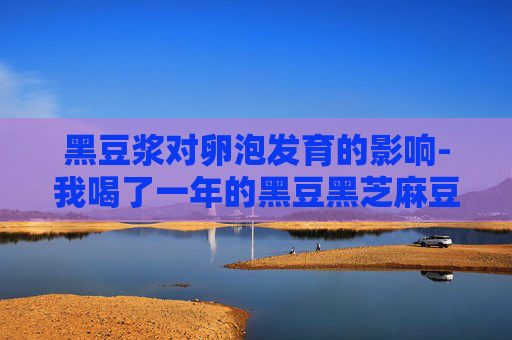 黑豆浆对卵泡发育的影响-我喝了一年的黑豆黑芝麻豆浆