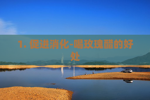 1. 促进消化-喝玫瑰醋的好处