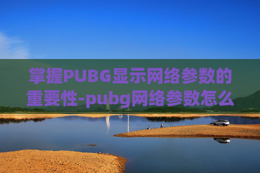 掌握PUBG显示网络参数的重要性-pubg网络参数怎么看