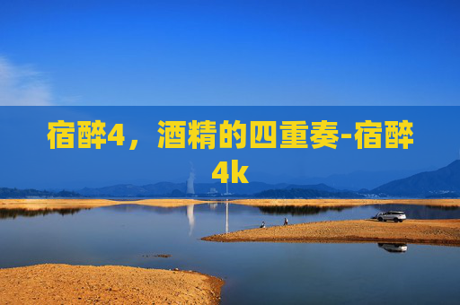 宿醉4，酒精的四重奏-宿醉4k