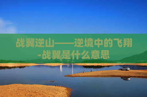 战翼逆山——逆境中的飞翔-战翼是什么意思