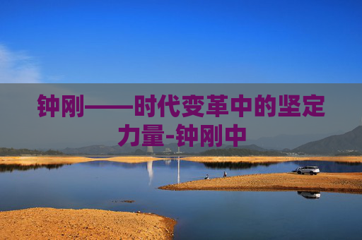 钟刚——时代变革中的坚定力量-钟刚中