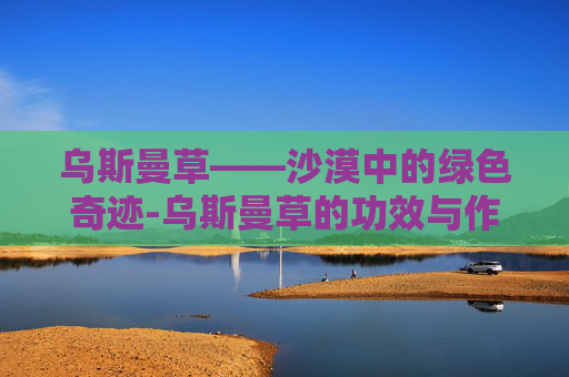 乌斯曼草——沙漠中的绿色奇迹-乌斯曼草的功效与作用