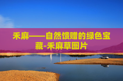 禾麻——自然馈赠的绿色宝藏-禾麻草图片
