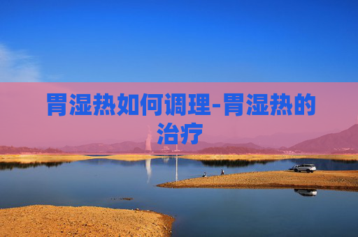 胃湿热如何调理-胃湿热的治疗