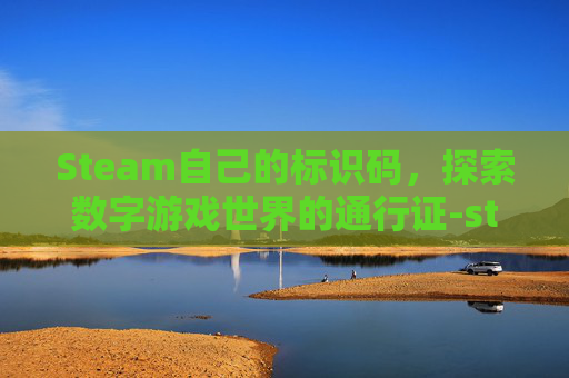Steam自己的标识码，探索数字游戏世界的通行证-steam标签怎么看