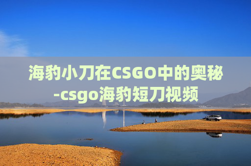 海豹小刀在CSGO中的奥秘-csgo海豹短刀视频