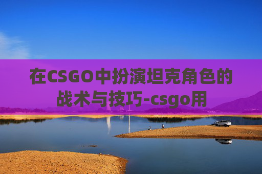 在CSGO中扮演坦克角色的战术与技巧-csgo用