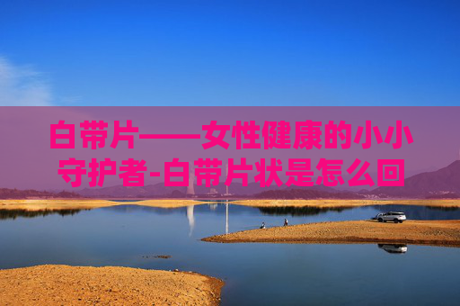 白带片——女性健康的小小守护者-白带片状是怎么回事