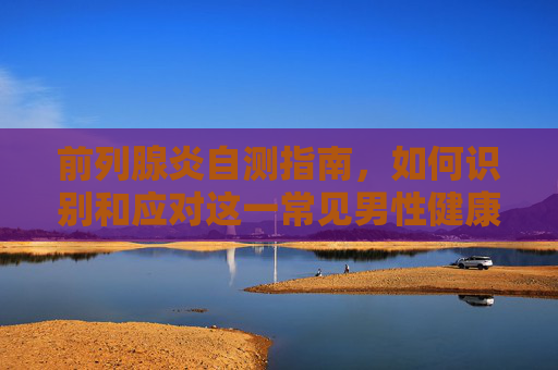 前列腺炎自测指南，如何识别和应对这一常见男性健康问题-前列腺炎怎么自我检查