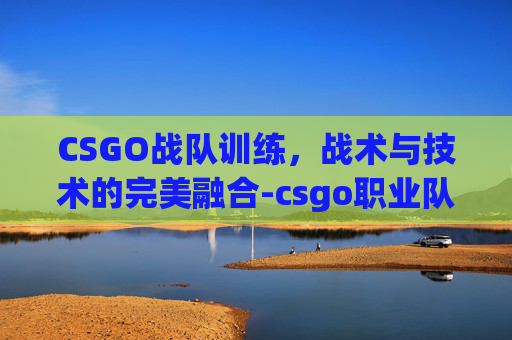 CSGO战队训练，战术与技术的完美融合-csgo职业队训练
