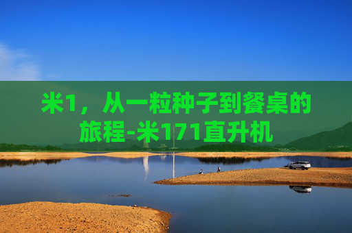 米1，从一粒种子到餐桌的旅程-米171直升机