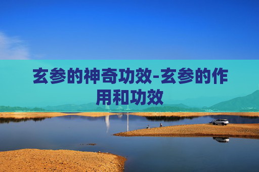 玄参的神奇功效-玄参的作用和功效