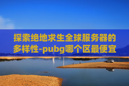 探索绝地求生全球服务器的多样性-pubg哪个区最便宜