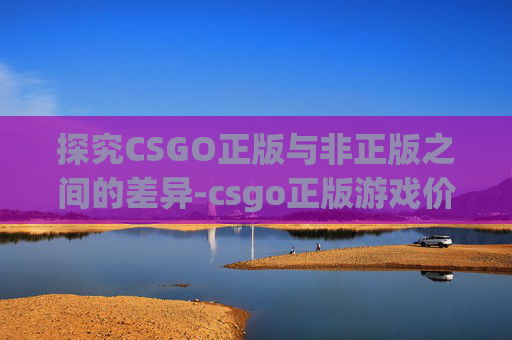 探究CSGO正版与非正版之间的差异-csgo正版游戏价格