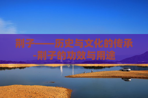 荆子——历史与文化的传承-荆子的功效与用途