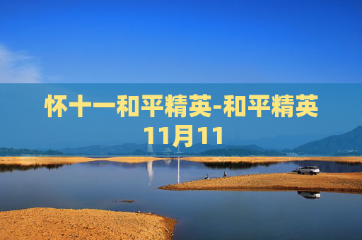 怀十一和平精英-和平精英11月11