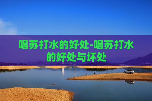 喝苏打水的好处-喝苏打水的好处与坏处