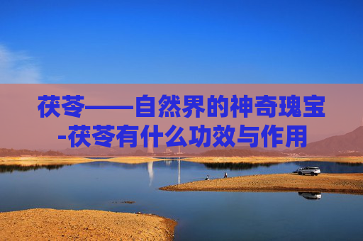 茯苓——自然界的神奇瑰宝-茯苓有什么功效与作用