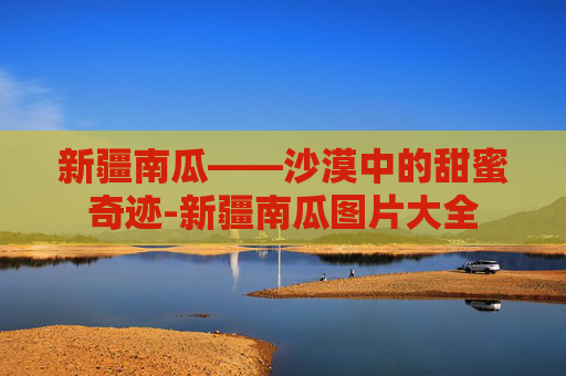新疆南瓜——沙漠中的甜蜜奇迹-新疆南瓜图片大全