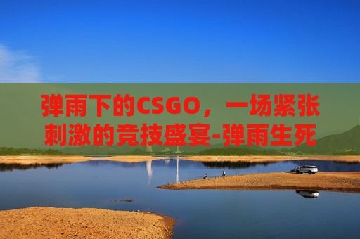 弹雨下的CSGO，一场紧张刺激的竞技盛宴-弹雨生死游戏在线阅读