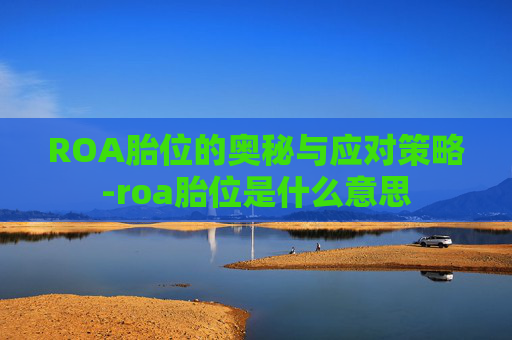 ROA胎位的奥秘与应对策略-roa胎位是什么意思