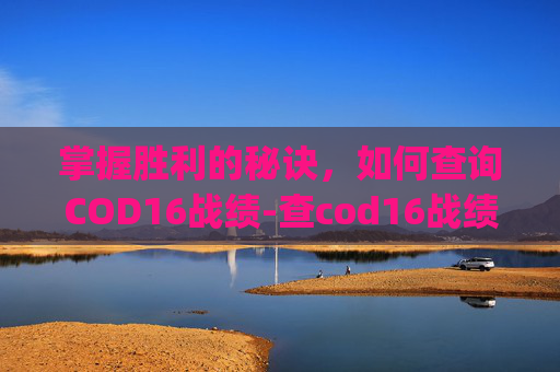 掌握胜利的秘诀，如何查询COD16战绩-查cod16战绩的app