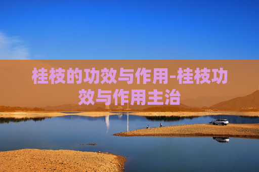 桂枝的功效与作用-桂枝功效与作用主治