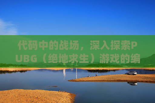 代码中的战场，深入探索PUBG（绝地求生）游戏的编程奥秘-代码public