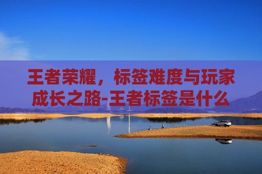 王者荣耀，标签难度与玩家成长之路-王者标签是什么
