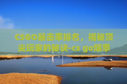 CSGO暴击率排名，揭秘顶尖玩家的秘诀-cs go爆率