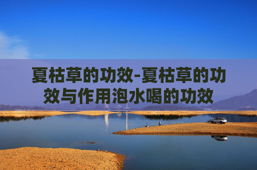 夏枯草的功效-夏枯草的功效与作用泡水喝的功效