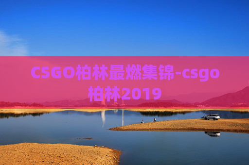 CSGO柏林最燃集锦-csgo柏林2019