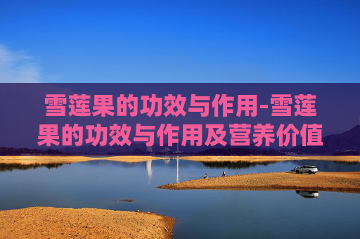 雪莲果的功效与作用-雪莲果的功效与作用及营养价值