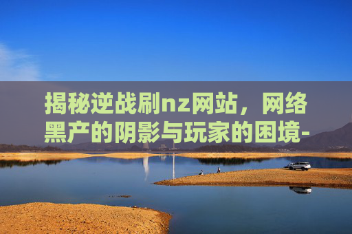 揭秘逆战刷nz网站，网络黑产的阴影与玩家的困境-逆战带刷