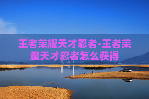 王者荣耀天才忍者-王者荣耀天才忍者怎么获得