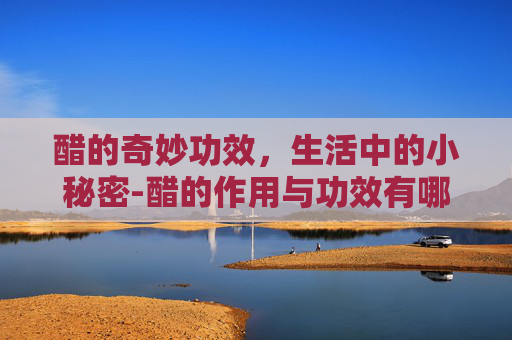 醋的奇妙功效，生活中的小秘密-醋的作用与功效有哪些