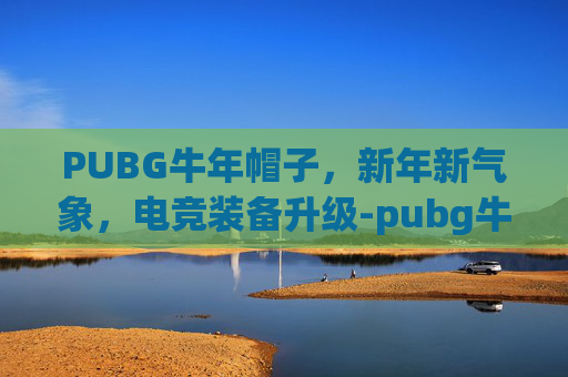 PUBG牛年帽子，新年新气象，电竞装备升级-pubg牛仔帽